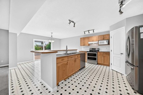 171 Oakmere Green, Chestermere, AB - Indoor Photo Showing Kitchen With Double Sink
