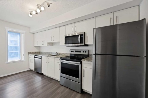 1209-4641 128 Avenue Ne, Calgary, AB - Indoor Photo Showing Kitchen With Stainless Steel Kitchen