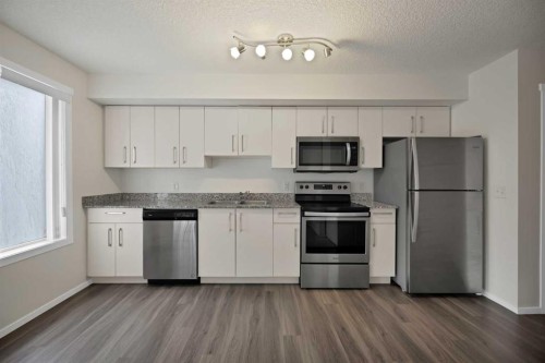 1209-4641 128 Avenue Ne, Calgary, AB - Indoor Photo Showing Kitchen With Stainless Steel Kitchen