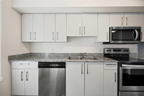 1209-4641 128 Avenue Ne, Calgary, AB - Indoor Photo Showing Kitchen With Stainless Steel Kitchen With Double Sink
