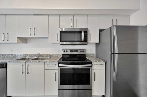 1209-4641 128 Avenue Ne, Calgary, AB - Indoor Photo Showing Kitchen With Stainless Steel Kitchen With Double Sink With Upgraded Kitchen