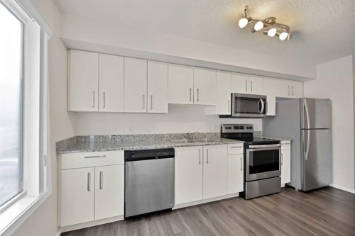 1209-4641 128 Avenue Ne, Calgary, AB - Indoor Photo Showing Kitchen With Stainless Steel Kitchen