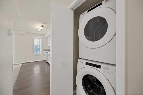 1209-4641 128 Avenue Ne, Calgary, AB - Indoor Photo Showing Laundry Room