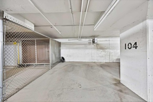 1209-4641 128 Avenue Ne, Calgary, AB - Indoor Photo Showing Garage