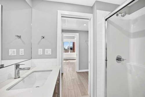 2110-6 Merganser Drive West, Chestermere, AB - Indoor Photo Showing Bathroom