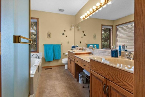 40 Scenic Ridge Place Nw, Calgary, AB - Indoor Photo Showing Bathroom