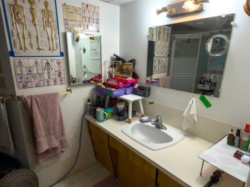 283036 Range Road 202, Rural Kneehill County, AB - Indoor Photo Showing Bathroom