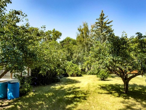 283036 Range Road 202, Rural Kneehill County, AB - Outdoor