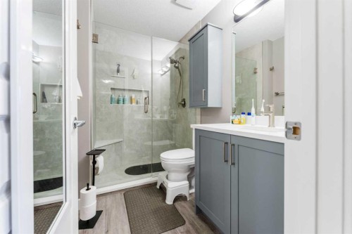 222 Bayside Point Sw, Airdrie, AB - Indoor Photo Showing Bathroom