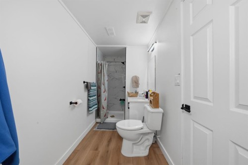 4123 30 Avenue Se, Calgary, AB - Indoor Photo Showing Bathroom