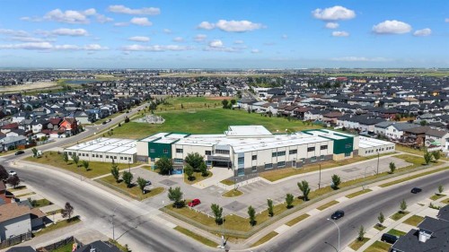 163 Saddlemont Crescent Ne, Calgary, AB 