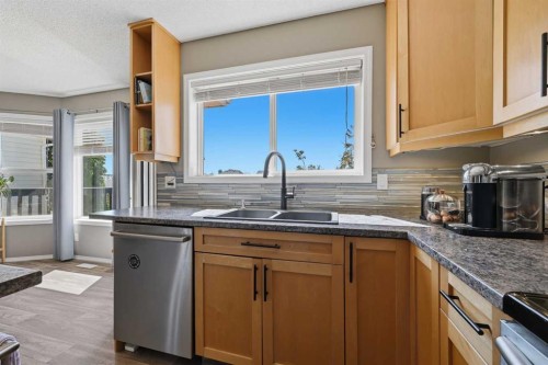 119 Bridlewood Common Sw, Calgary, AB - Indoor Photo Showing Kitchen With Double Sink