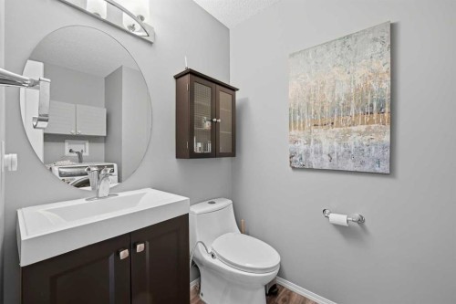 119 Bridlewood Common Sw, Calgary, AB - Indoor Photo Showing Bathroom
