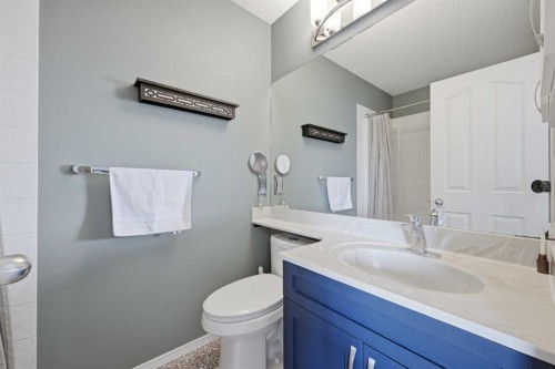119 Bridlewood Common Sw, Calgary, AB - Indoor Photo Showing Bathroom