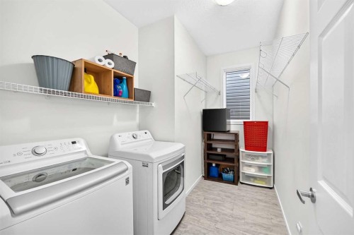 188 Carrington Crescent Nw, Calgary, AB - Indoor Photo Showing Laundry Room