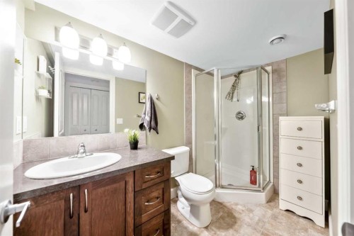 1333 Windstone Road Sw, Airdrie, AB - Indoor Photo Showing Bathroom