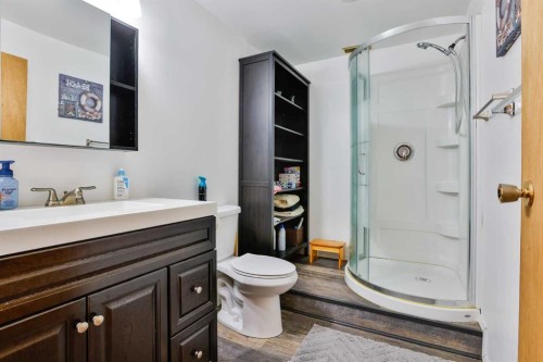 425 Cottonwood Drive, Vulcan, AB - Indoor Photo Showing Bathroom