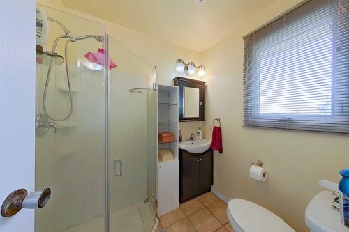 425 Cottonwood Drive, Vulcan, AB - Indoor Photo Showing Bathroom