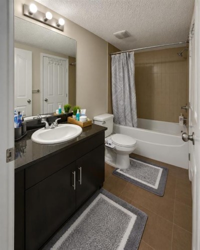 413-7210 80 Avenue Ne, Calgary, AB - Indoor Photo Showing Bathroom