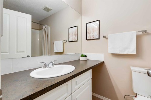 17 Country Village Circle Ne, Calgary, AB - Indoor Photo Showing Bathroom