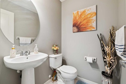 768 New Brighton Drive Se, Calgary, AB - Indoor Photo Showing Bathroom
