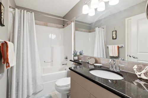 768 New Brighton Drive Se, Calgary, AB - Indoor Photo Showing Bathroom