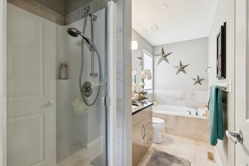 768 New Brighton Drive Se, Calgary, AB - Indoor Photo Showing Bathroom