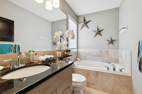 768 New Brighton Drive Se, Calgary, AB - Indoor Photo Showing Bathroom