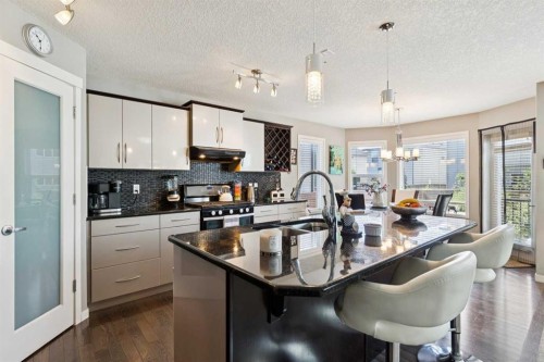 768 New Brighton Drive Se, Calgary, AB - Indoor Photo Showing Kitchen With Double Sink With Upgraded Kitchen