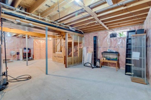 25 Coville Gardens Ne, Calgary, AB - Indoor Photo Showing Basement