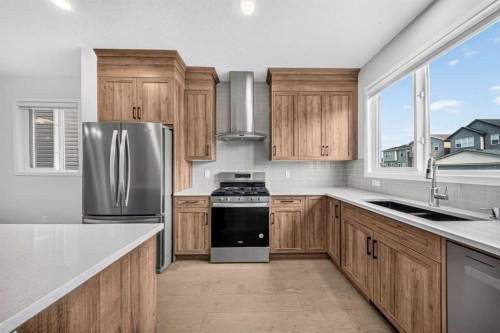 389 Cornerbrook Road Ne, Calgary, AB - Indoor Photo Showing Kitchen With Double Sink