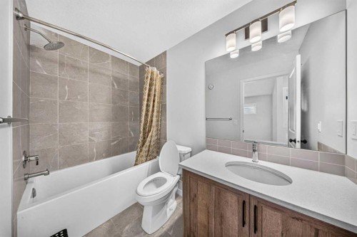 389 Cornerbrook Road Ne, Calgary, AB - Indoor Photo Showing Bathroom