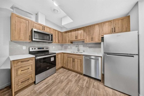 389 Cornerbrook Road Ne, Calgary, AB - Indoor Photo Showing Kitchen