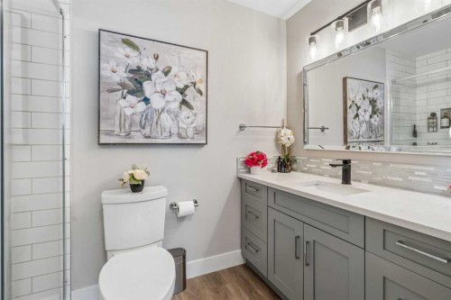 123 Riverbrook Road Se, Calgary, AB - Indoor Photo Showing Bathroom