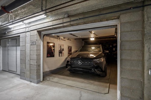 106-59 22 Avenue Sw, Calgary, AB - Indoor Photo Showing Garage
