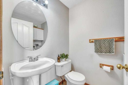 118 Tarington Close Ne, Calgary, AB - Indoor Photo Showing Bathroom