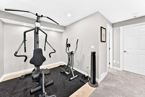 152 Royal Oak Terrace Nw, Calgary, AB - Indoor Photo Showing Gym Room