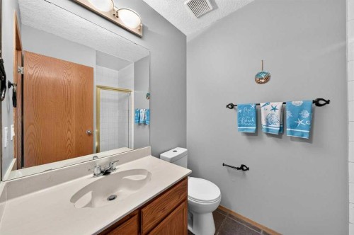 31 Scenic Cove Place Nw, Calgary, AB - Indoor Photo Showing Bathroom
