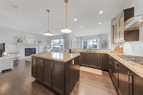 219 Auburn Springs Close Se, Calgary, AB - Indoor Photo Showing Kitchen With Upgraded Kitchen