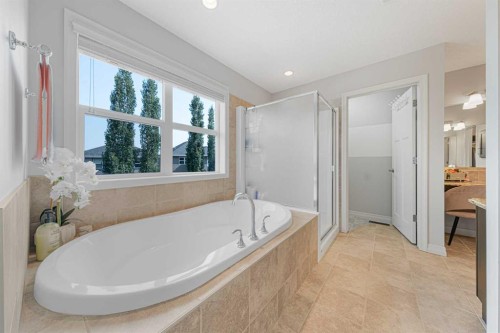 219 Auburn Springs Close Se, Calgary, AB - Indoor Photo Showing Bathroom