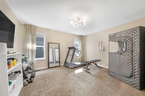219 Auburn Springs Close Se, Calgary, AB - Indoor Photo Showing Gym Room