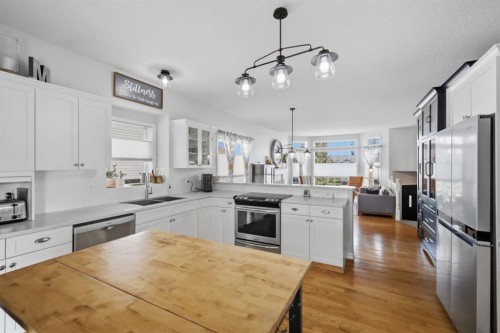 6103 58 Street, Olds, AB - Indoor Photo Showing Kitchen With Double Sink