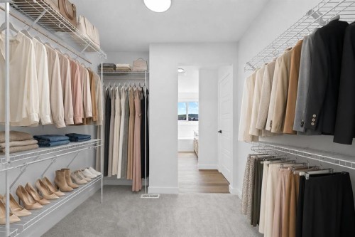 149 Creekside Street Sw, Calgary, AB - Indoor With Storage