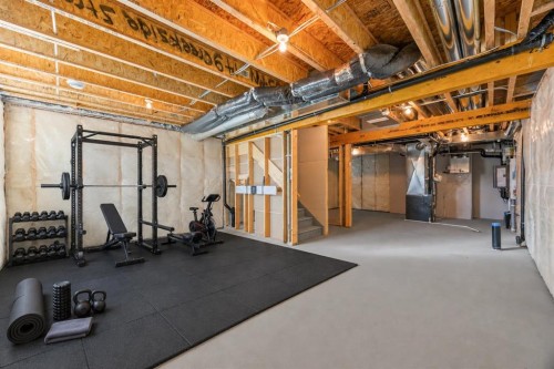149 Creekside Street Sw, Calgary, AB - Indoor Photo Showing Basement