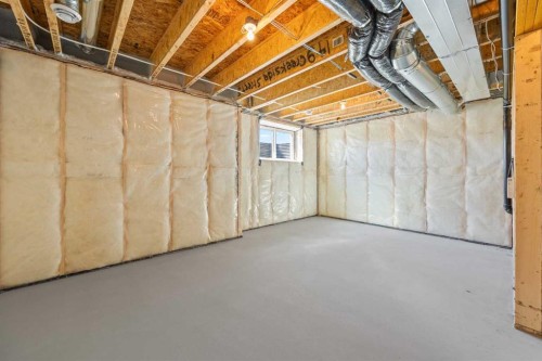 149 Creekside Street Sw, Calgary, AB - Indoor Photo Showing Basement