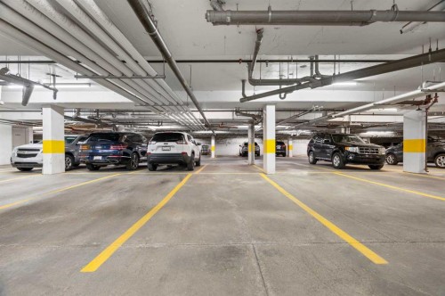 411-28 Auburn Bay Link Se, Calgary, AB - Indoor Photo Showing Garage
