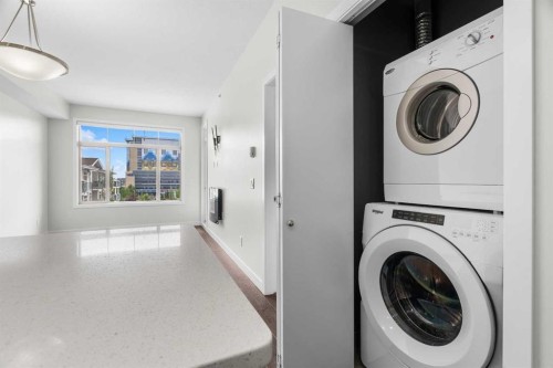 411-28 Auburn Bay Link Se, Calgary, AB - Indoor Photo Showing Laundry Room