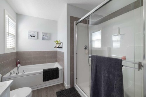 153 Sandstone Drive, Okotoks, AB - Indoor Photo Showing Bathroom