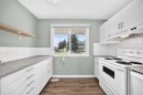 383 Georgian Villas Ne, Calgary, AB  - Indoor Photo Showing Kitchen 