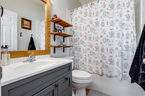 738 Carriage Lane Drive, Carstairs, AB - Indoor Photo Showing Bathroom